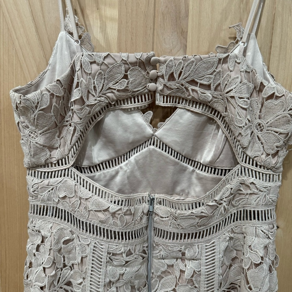 Bardot Botanica Lace Midi Dress Size 8 Nude Beige Floral Overlay Ladder Lace - Picture 6 of 16